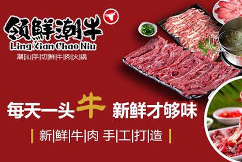 领鲜潮牛牛肉火锅