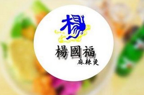 杨国福怎样加盟