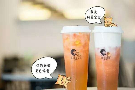  茜茶xeecua加盟