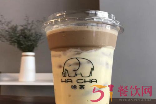 哈茶茶饮店加盟费用多少钱