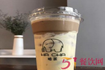 哈茶茶饮店加盟费用多少钱？刚毕