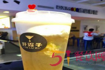 野露子奶茶加盟费大概多少？加盟好品牌费用不高！【表