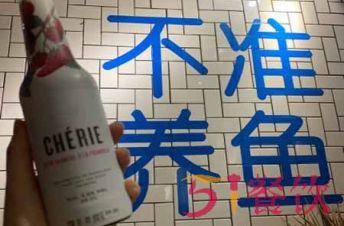 壹酒贰肉是加盟店么?定制专属你