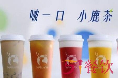 小鹿茶加盟多少钱